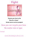 Event flyer for Bras for a Cause