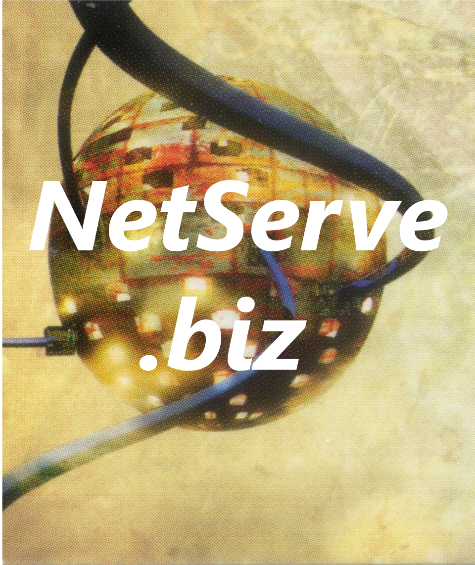 netserveonsite logo